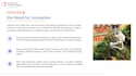 develop ai powered video analytics and computer vision solutions