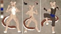 draw high quality furry ref sheet, anthro ref sheet, nsfw ref sheet, oc design