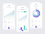 build a professional full stack web app, saas