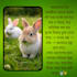 design attractive instagram facebook posts using canva