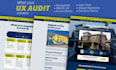 perform a professional website UX audit