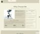 design a modern, responsive framer website