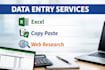 professional manual web research and data collection