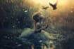 professional photo manipulation and editing