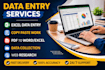 do data entry, copy paste, and excel work