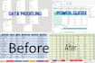 clean, organize, and format your excel or CSV data
