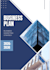 write a professional business plan for funding