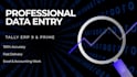 do professional data entry, ms excel and tally erp 9 work