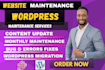 provide wordpress website maintenance and fix issues