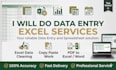 do accurate data entry, excel data cleaning, copy paste and web research