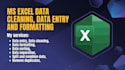 professional data entry, data cleaning, in excel data