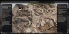 build a museum, archaeology, or heritage website
