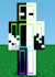 create a professional minecraft skin