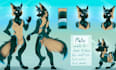 design character sheet or reference sheet for your character