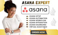 customize asana dashboard setup asana automation integration virtual assistance