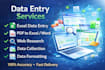 do professional and efficient data entry, excel and web research