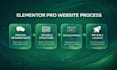 design a custom elementor pro website or landing page