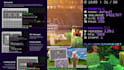 professionally develop your minecraft server