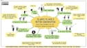 draw business sketchnotes, visual summaries, process maps, infographics doodle