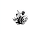 create hand drawn botanical logo design