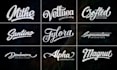 create modern handwritten, script, calligraphy logo