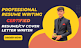 provide professional resume, CV writing service