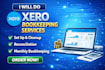 do xero account setup and design