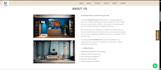design a modern shopify ecommerce website