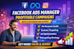 facebook ads setup management meta ads expert roi campaigns