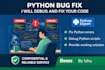 fix python bugs and debug your python code