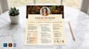 design a professional visual resume and CV