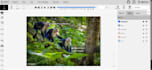 do professional bounding box, polygon, keypoint image annotation
