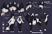 draw reference sheet of your furry character