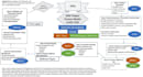 do the dnp project, formulate a picot question, ebp, and nursing tasks