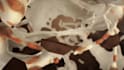 do high end 3d water simulation, liquid product animation, fluid simulation