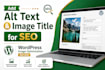 add SEO optimized alt text to your wordpress images for better ranking