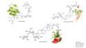 draw organic and natural compound structures for research in chemdraw