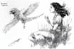 draw sketches with your character