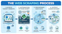 build a python script to scrape data from websites