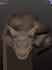 create detailed 3d fantasy creatures