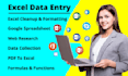 do accurate and fast data entry professionally