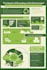 create a professional unique infographics