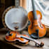 provide madoline,banjo,guiter to your track