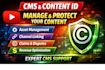 manage your youtube cms and content id professionally