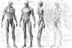 draw professional medical concept sketches