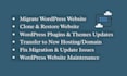 do wordpress migration backup clone website maintenance domain transfer