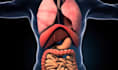 do 3d medical anatomy surgery animation human body scientific health video
