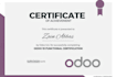 provide odoo erp functional and technical consultancy