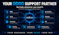 provide odoo erp functional and technical consultancy