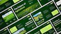 design a professional powerpoint or redesign pitch deck